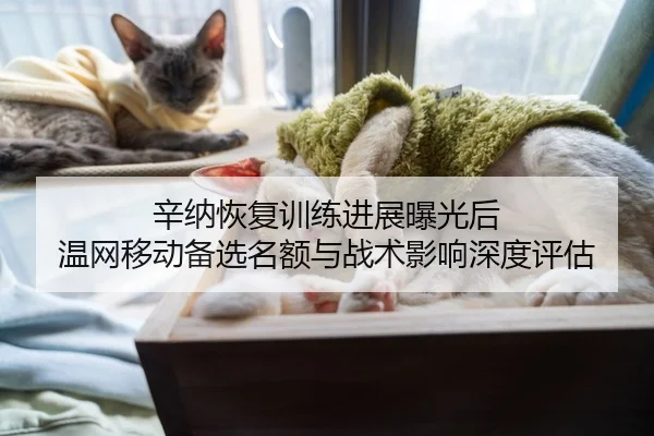 辛纳恢复训练进展曝光后 温网移动备选名额与战术影响深度评估